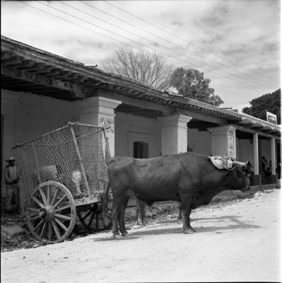 escaneo de medio