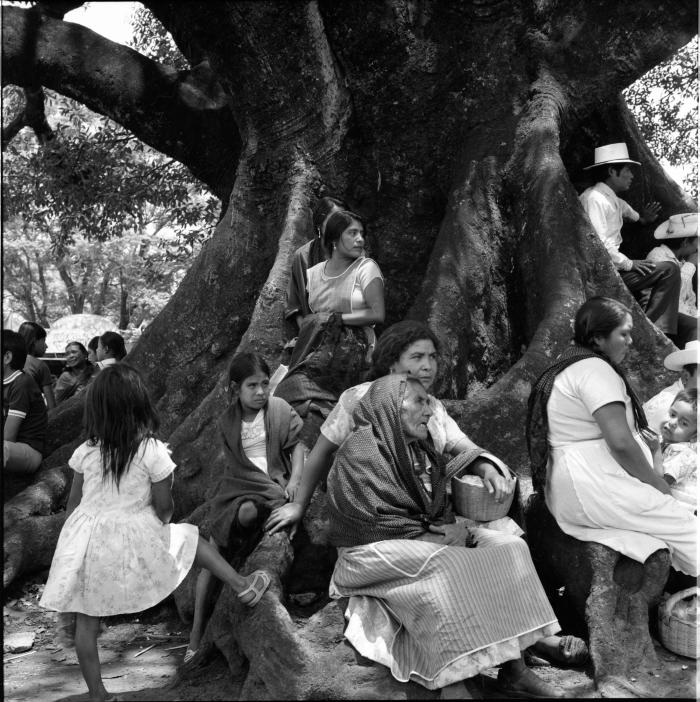 escaneo de medio