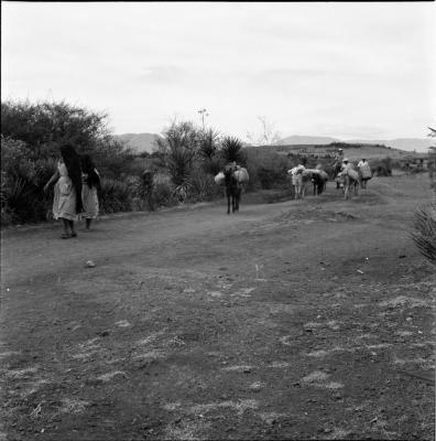 escaneo de medio