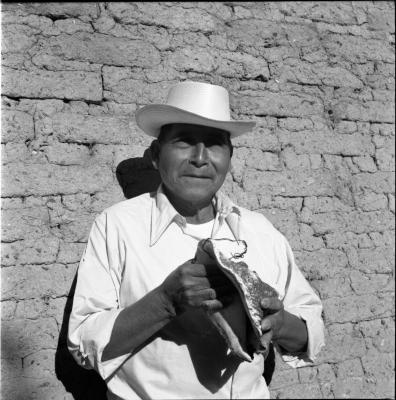 escaneo de medio