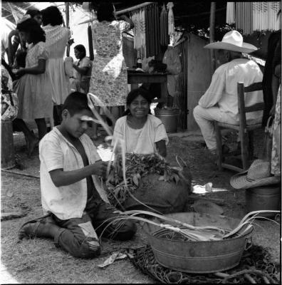 escaneo de medio